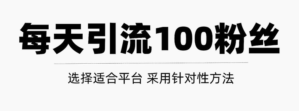 每天轻松获得100+精准粉丝的方法