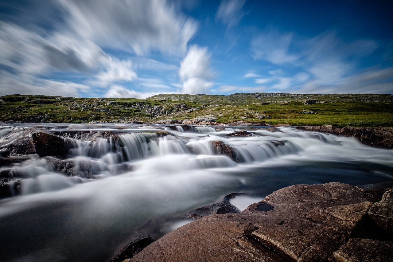 torrent